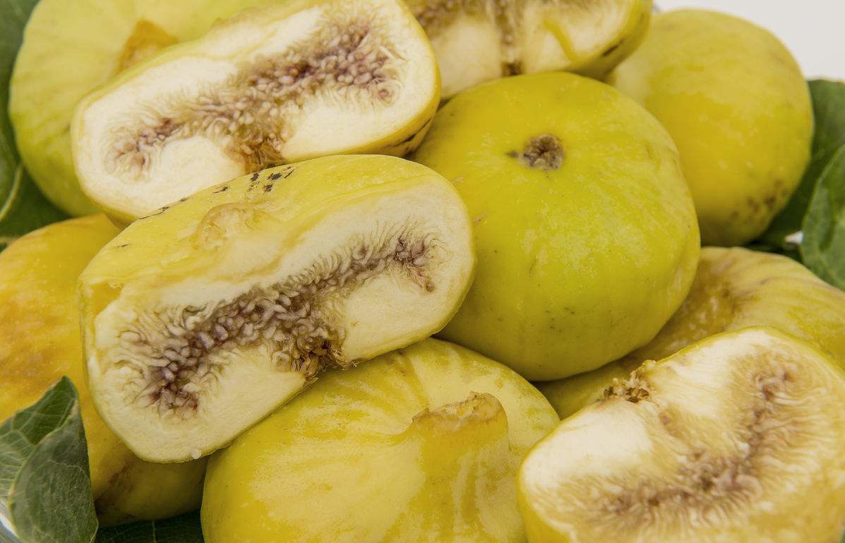 北方特色水果,四分之三都是糖,大家专挑烂的买,40一斤成抢手货