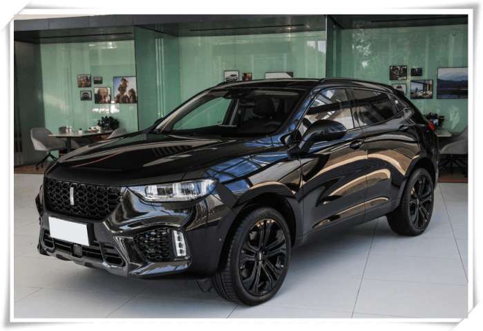 猎豹cs9追尾魏派vv5s,猎豹车主: 同是国产车, 这差距大得想卖车