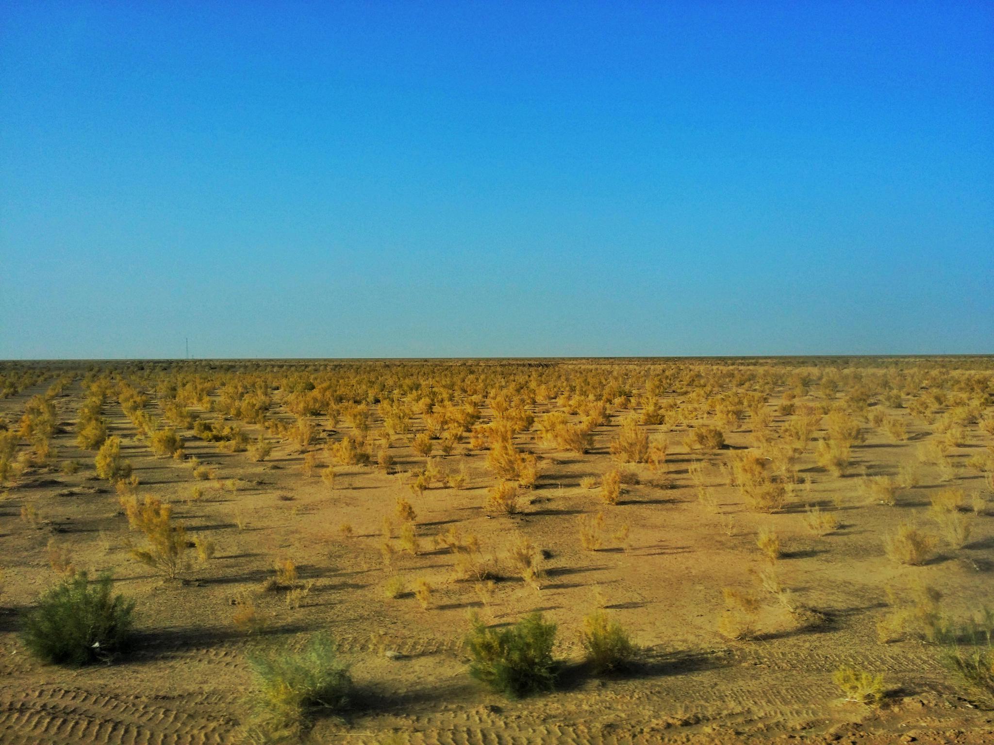 飓风黄沙遮天蔽日的沙尘暴是从哪来的沙尘暴带来的不仅仅是灾害