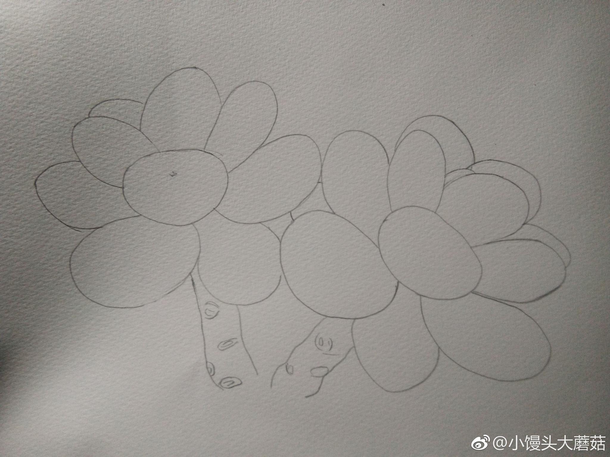 一株可爱的桃蛋投稿