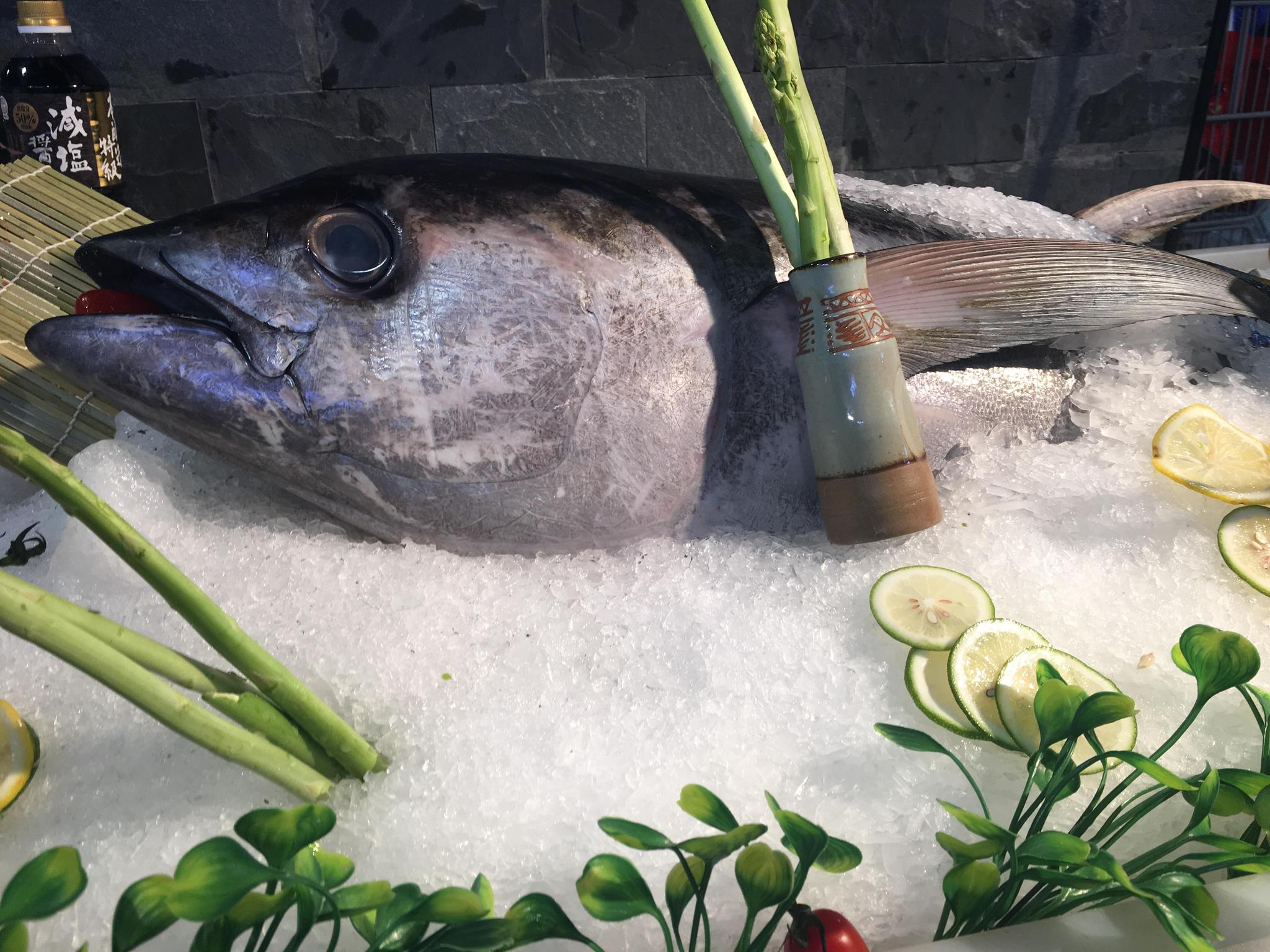 海鲜市场出现"天价鱼",一条就值4000元,很多人拍照留恋