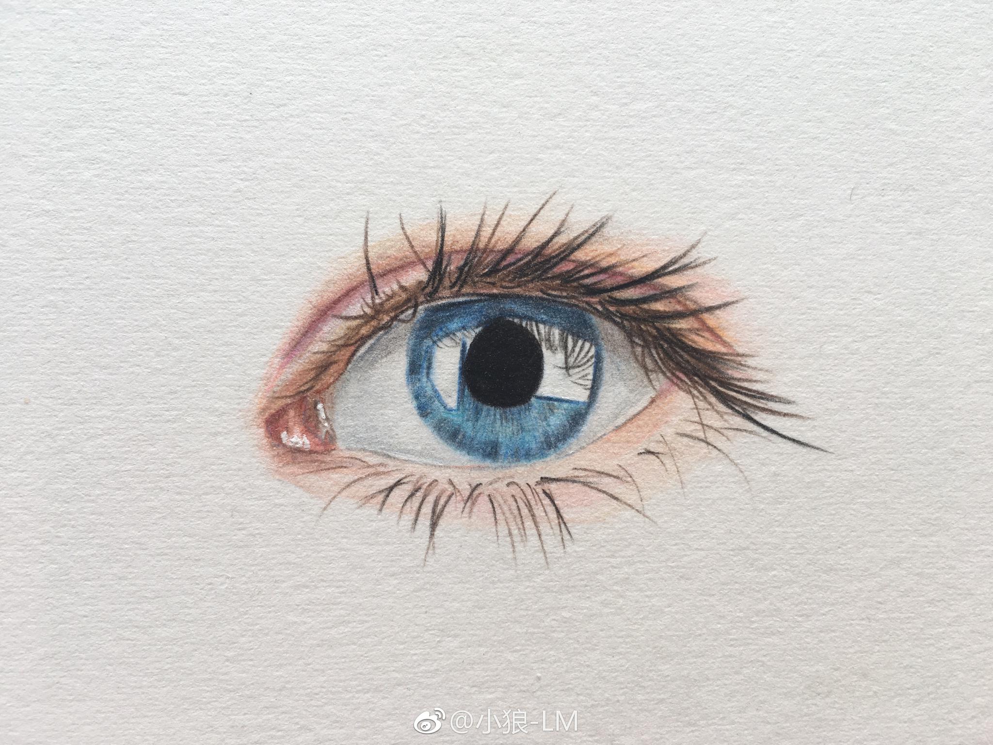 彩铅眼睛系列投稿