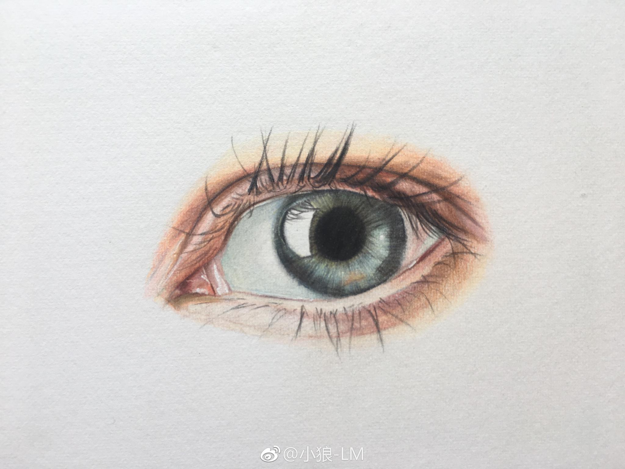 彩铅眼睛系列投稿
