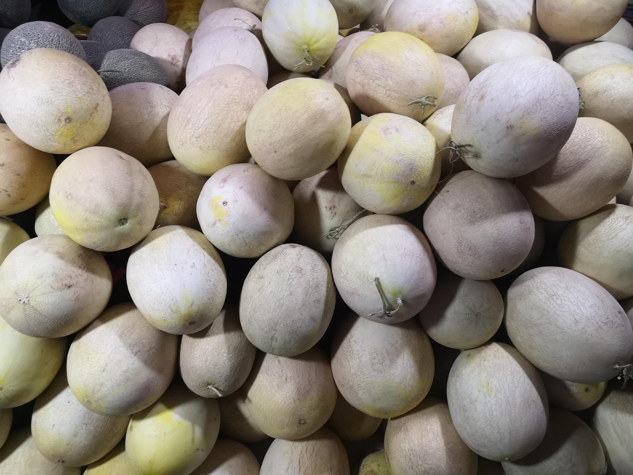 河西走廊上,甘肃酒泉瓜州县的瓜州市场,全是各种瓜果