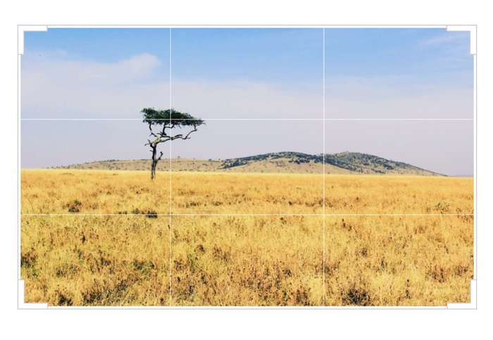 摄影|构图|三脚架_新浪新闻