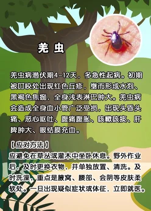一家3人被这种虫咬,竟致2人死亡!带娃出门一定要注意!
