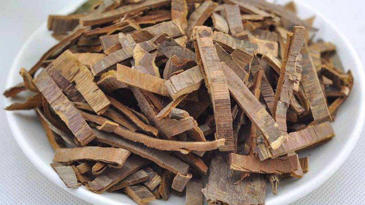 这种植物的树皮煎汤喝,缓解头痛,头晕,但这2种人不要碰!