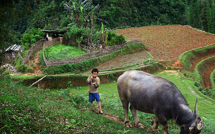农村娃娃穿着化肥袋做的雨衣上山放牛,穷人的孩子早当家,很感动