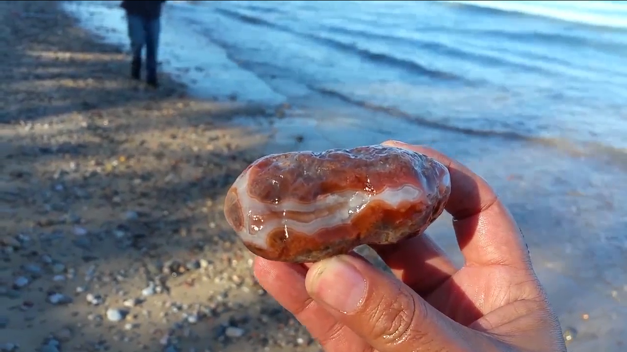 野外烧焦荒林发现一奇石,男子捡回家后,整个人乐坏了