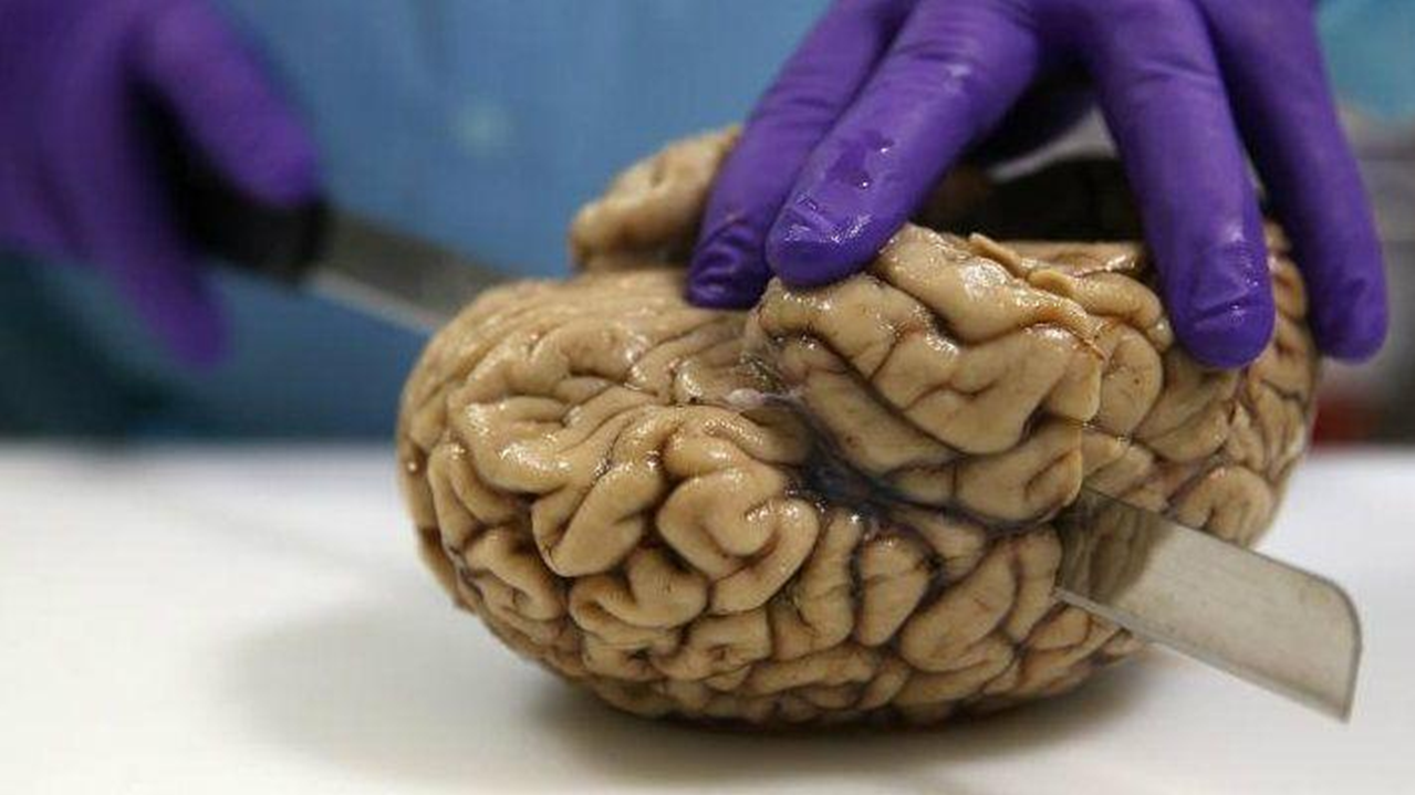 全球十大古怪餐厅之脏话餐厅,吸引无数游客上门,老板开17家分店