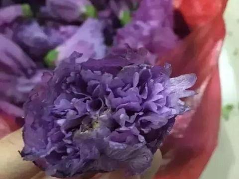 于都农村的猪膏花,是花也是美食