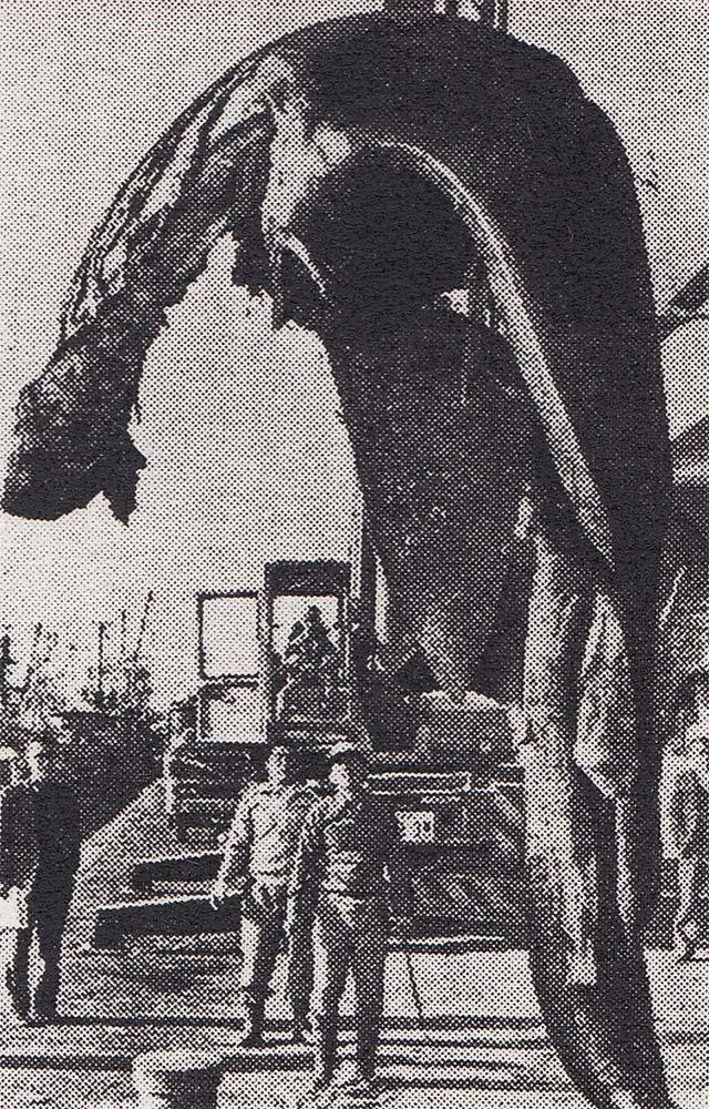 1977年太平洋"怪尸"事件