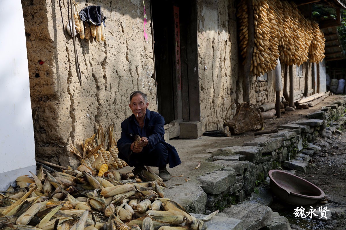 今天是中国农民丰收节,请不要忘记大山里勤劳但依旧贫困的老农们