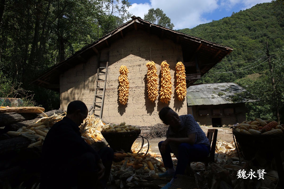 今天是中国农民丰收节,请不要忘记大山里勤劳但依旧贫困的老农们