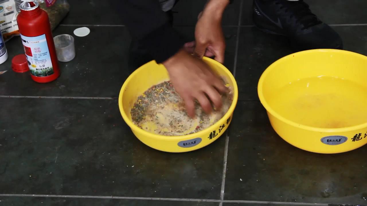 把拉丝粉换成这种,钓黑坑鲤鱼开饵快上鱼快
