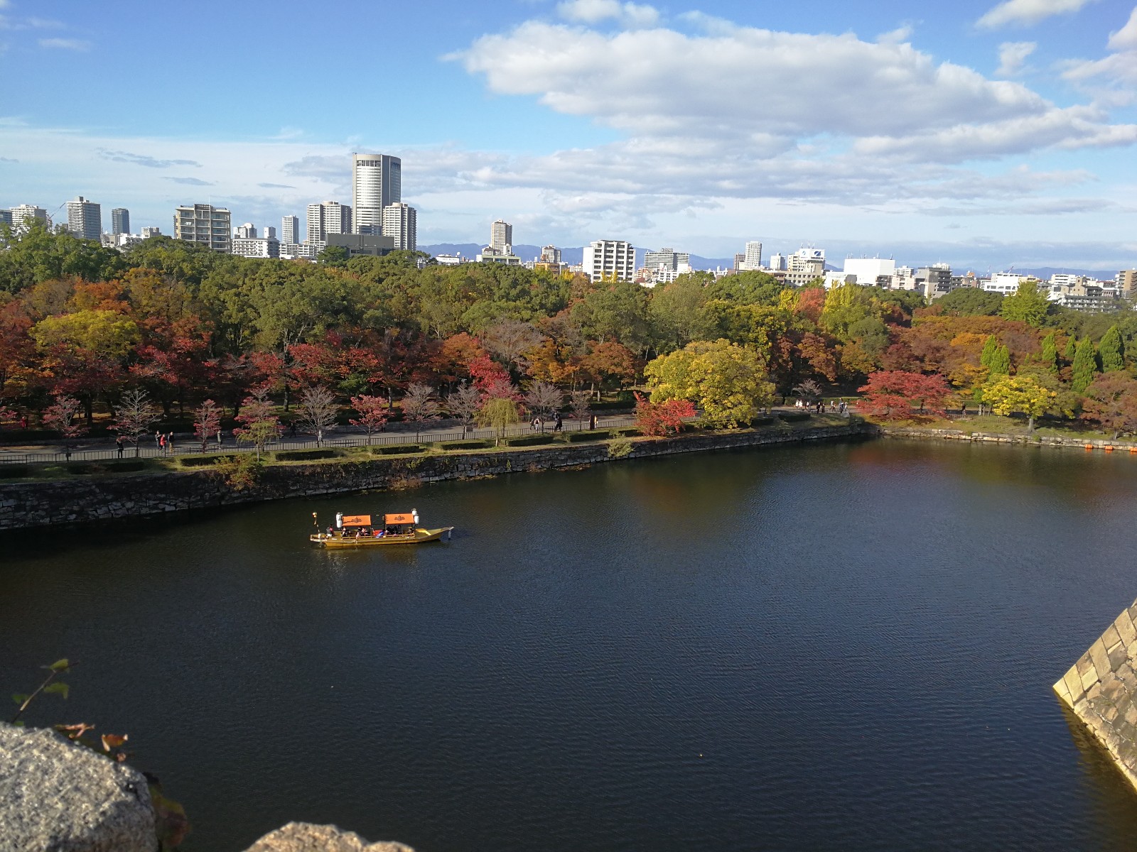 日本!除了北海道花海,冲神岛樱花之外,东京同样有美景分享给你