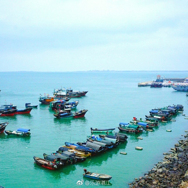 来湛江硇洲岛,一场丰盛的海鲜之旅.