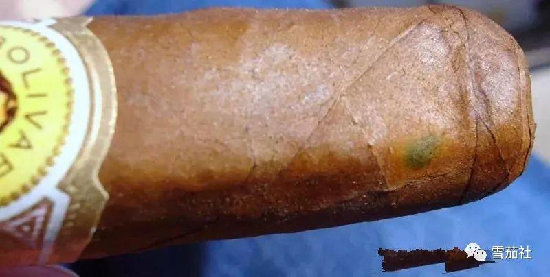 古巴雪茄的绿斑是怎么产生的能安全享用吗