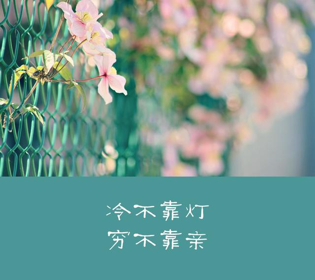 冷不靠灯穷不靠亲再苦再累靠自己