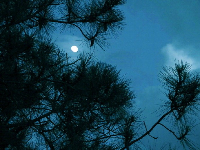 暮从碧山下,山月随人归