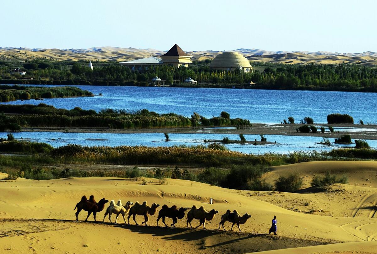 大美庫布其, 勝景七星湖, 這才是沙漠綠洲啊