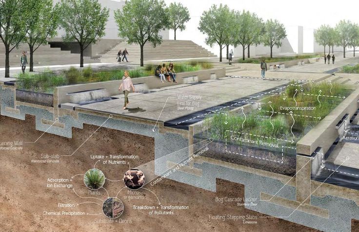 每日案例分享 | 雨洪管理