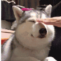 209_209gif 动态图 动图