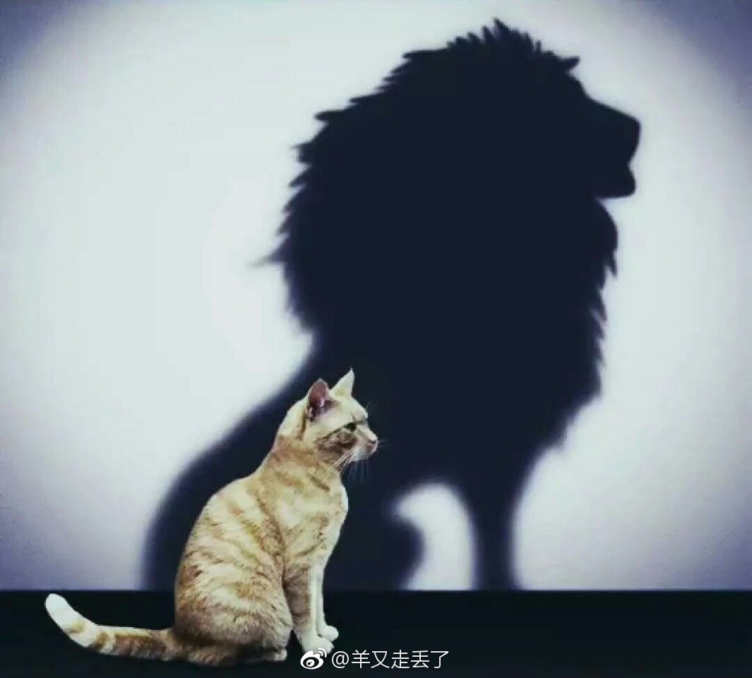 内心强大才是真正的强大