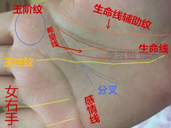 手相中出现通天纹，事业有成，富贵自天来！