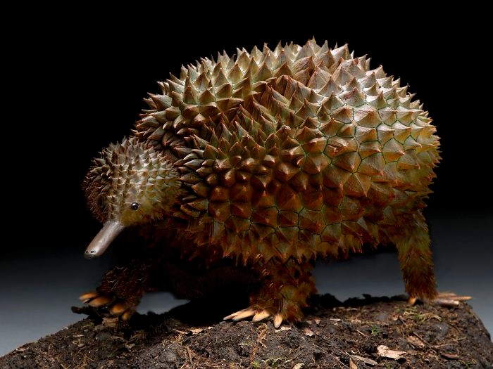 创意ps,将动物和植物融合在一起