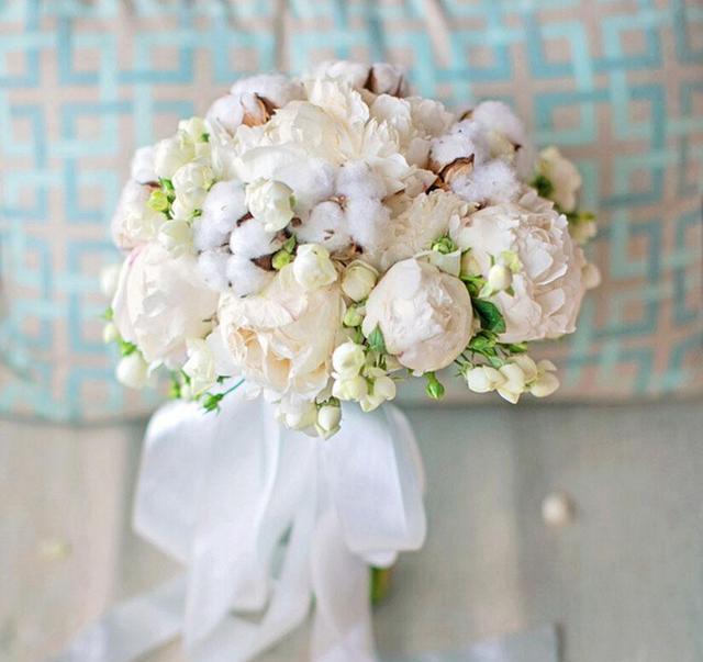 白茶清欢无别事,我在等风也等你