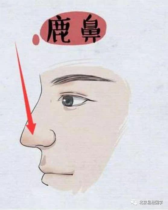 好鼻子坏鼻子 八一八最有福气的鼻相是哪种|鼻相|鼻子|面相_新浪新闻