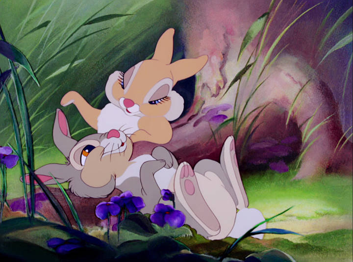thumper & miss bunny