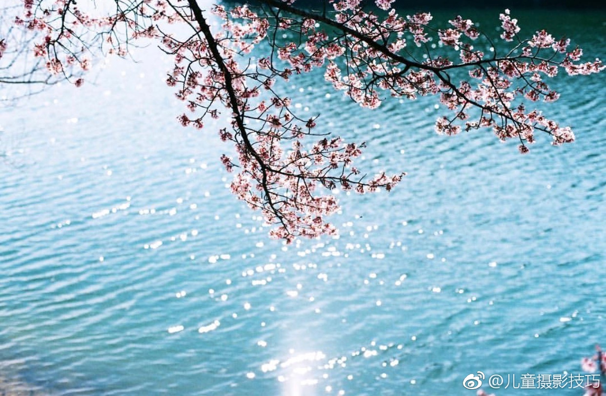 夏天的海风,春日的樱花,秋日的红枫,冬日的白雪