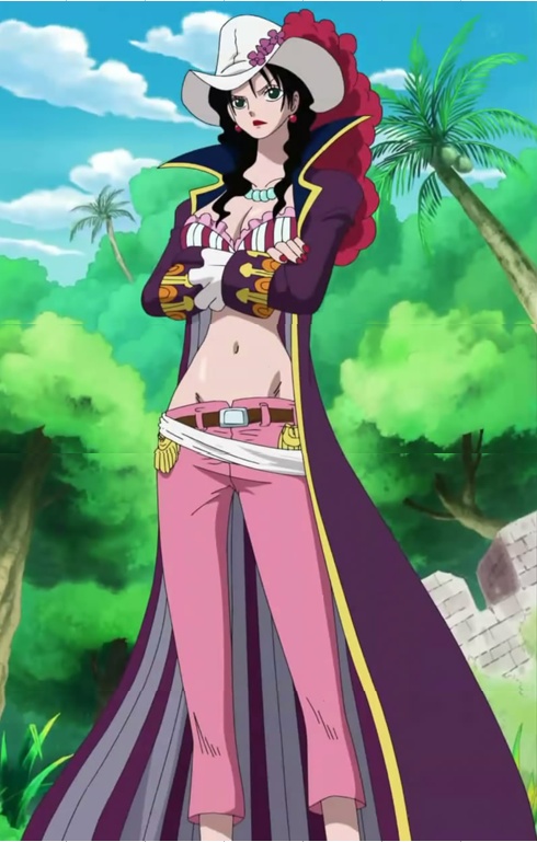 海贼王中出场次数少但一出场就会美翻天的女性角色