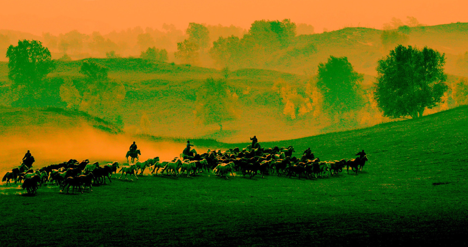 骏马奔驰在草原上