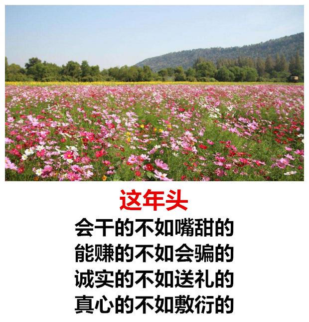 现在的人,太现实,人生经典实在话,全是大实话!(超经典)