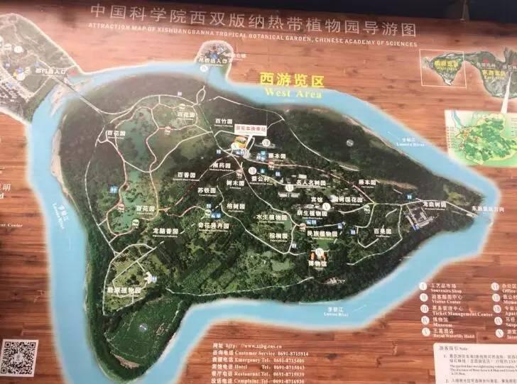 云南这3个景区荣誉拿到手软～快来看看吧|云南|野象谷|景区_新浪新闻