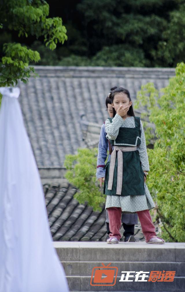 庆余年|达康|张婉儿_新浪新闻