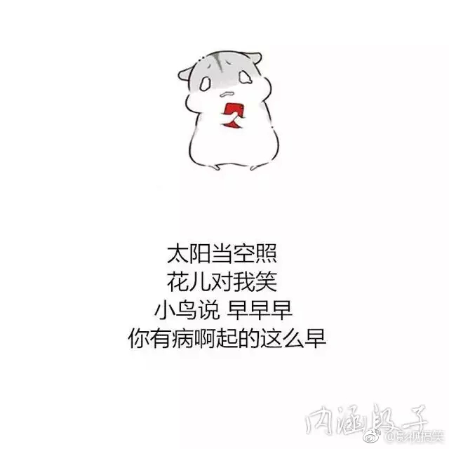 我就是我不一样的烟火