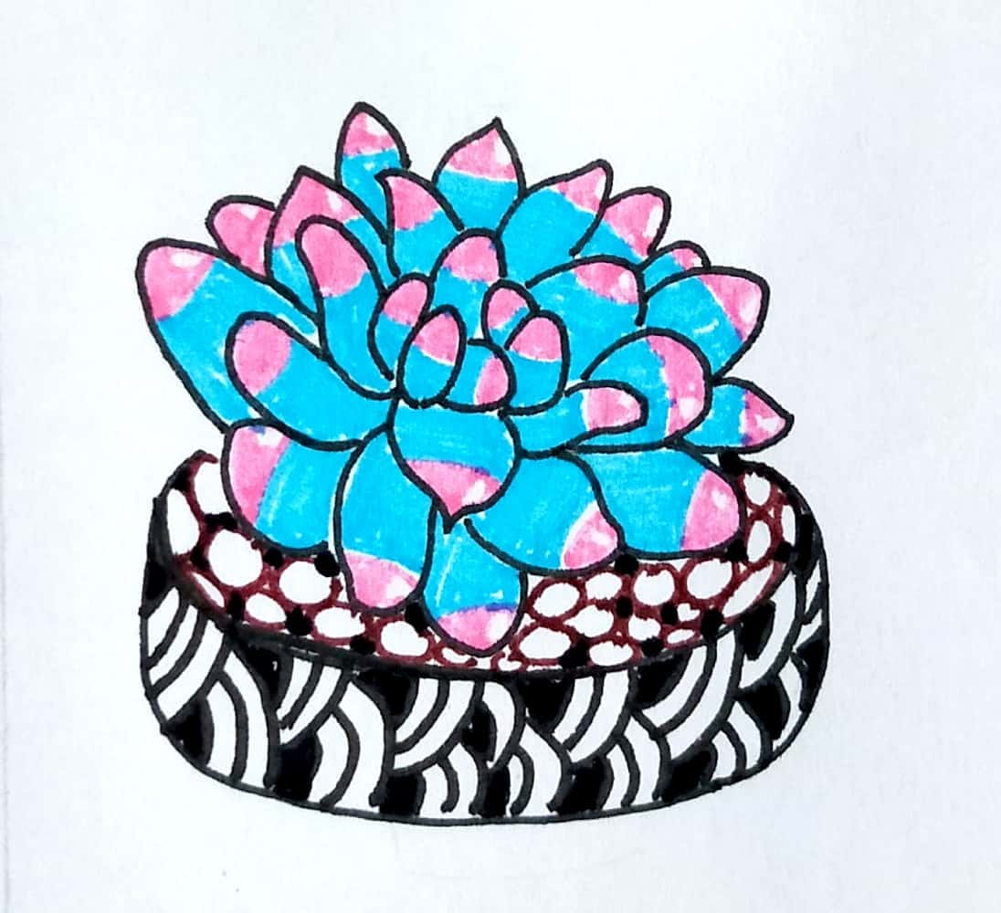 多肉简笔画 | cr.@画画的大牙ya