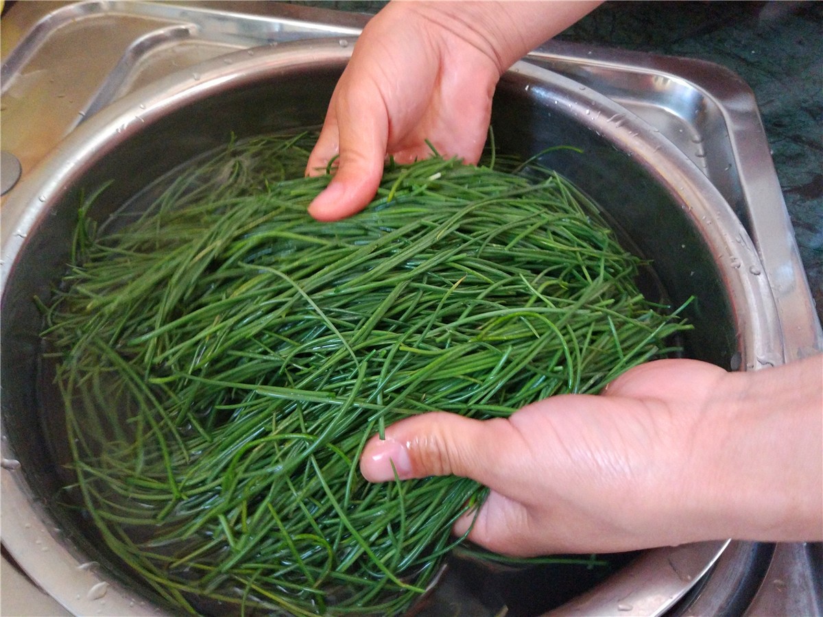 沙葱又叫蒙古韭,健胃消食是草原独特美味,10元一斤饭店抢订__财经头条