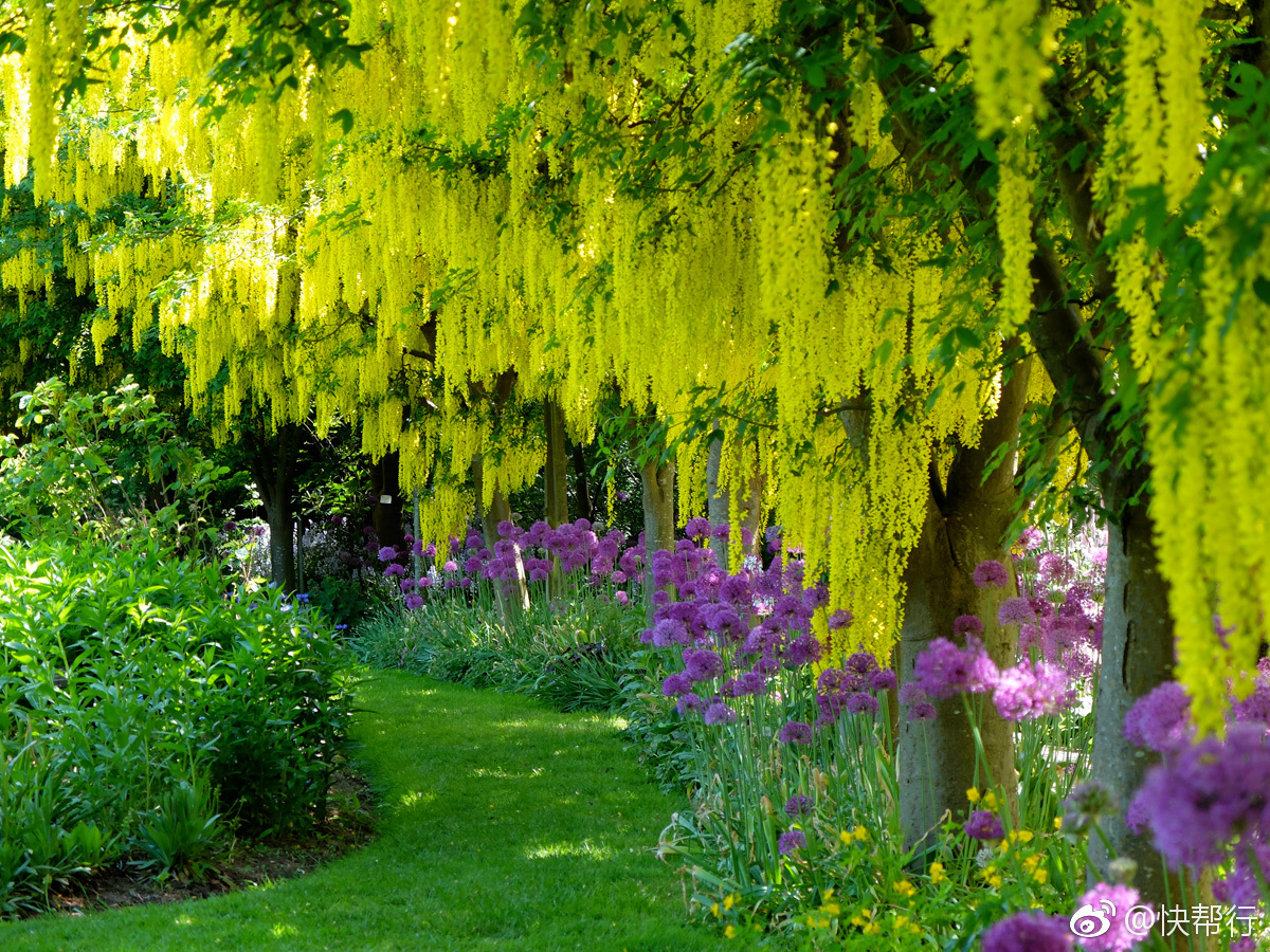 温哥华范度森植物园(vandusen botanical garden)建立于1971年|植物园