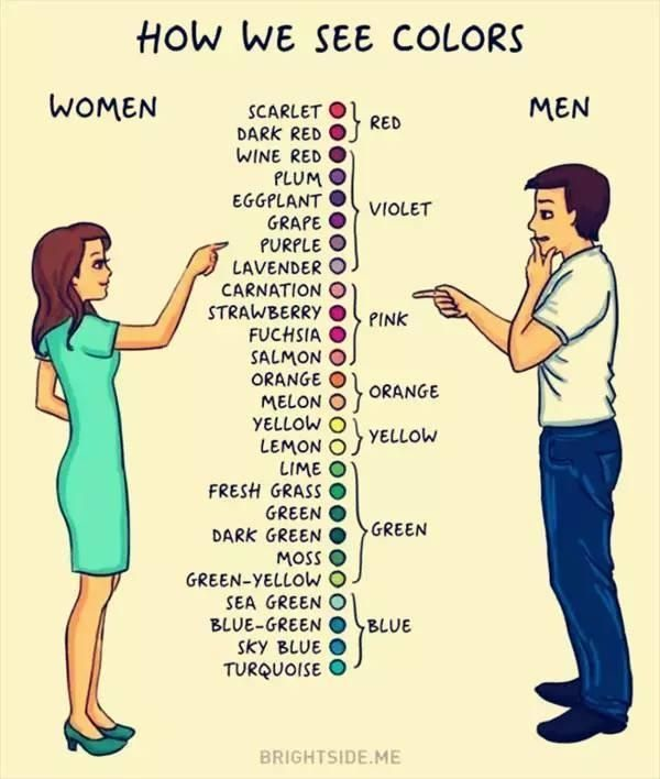 男人与女人的区别丨道听图说__财经头条