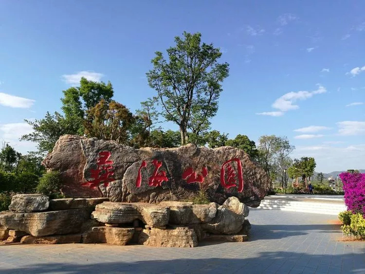 楚雄彝海公园的"伤痛"!