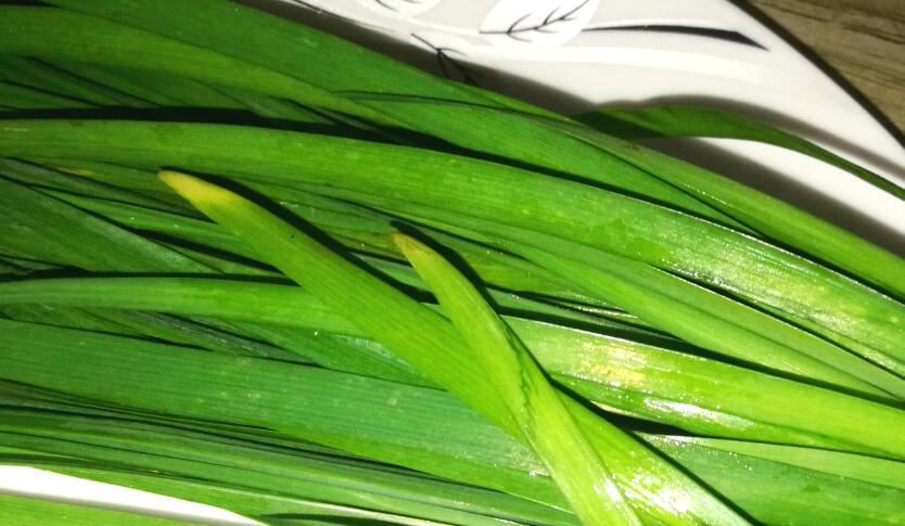 其中的"韭菜馅饺子",是饺子做法中比较出名的一种做法,很受人欢迎,小