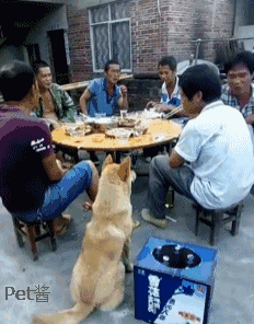 232_296gif 动态图 动图