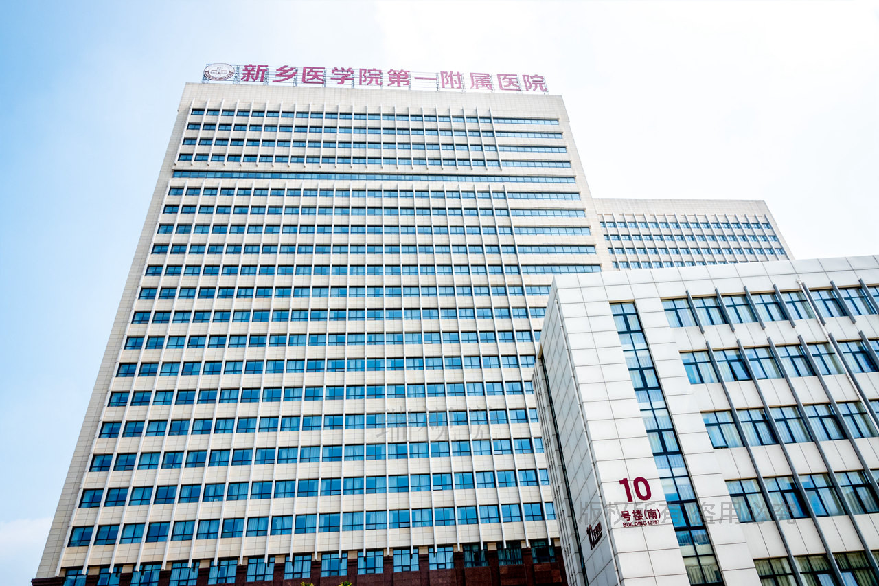 河南省卫辉市,新乡医学院第一附属医院内,有两株古老的槐树,树干粗大