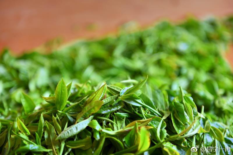 美丽昌宁一片茶叶的变化历程