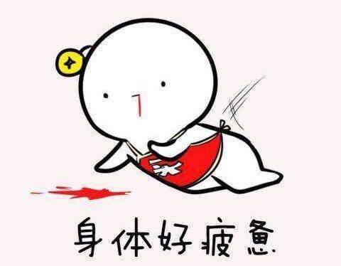 主人看到橘猫倒在血泊中